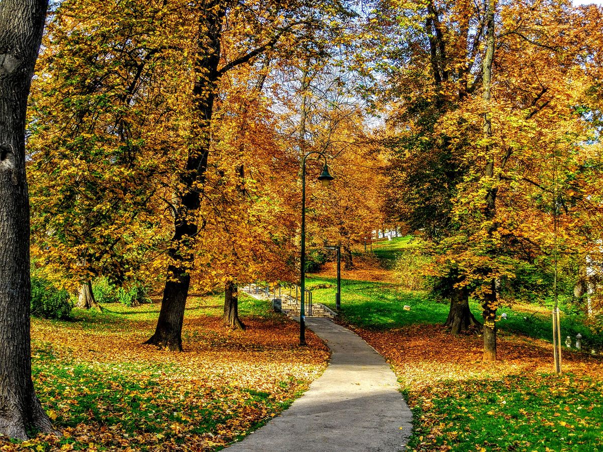 Protection Pathway Planning for Safety | Contextual Safeguarding
