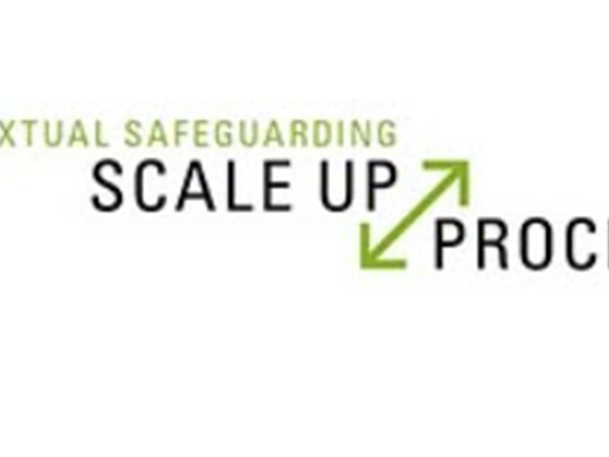 Scale up Project | Contextual Safeguarding